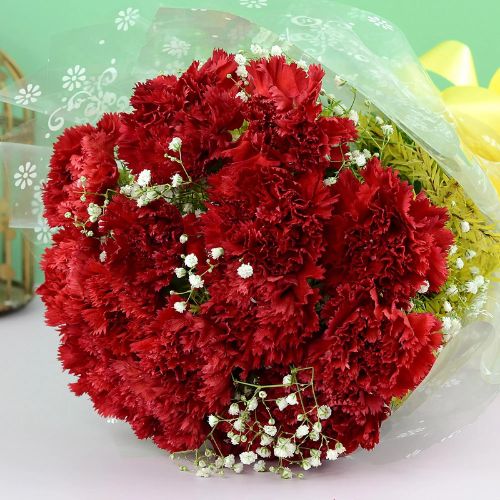 Bright Red Carnations Bouquet